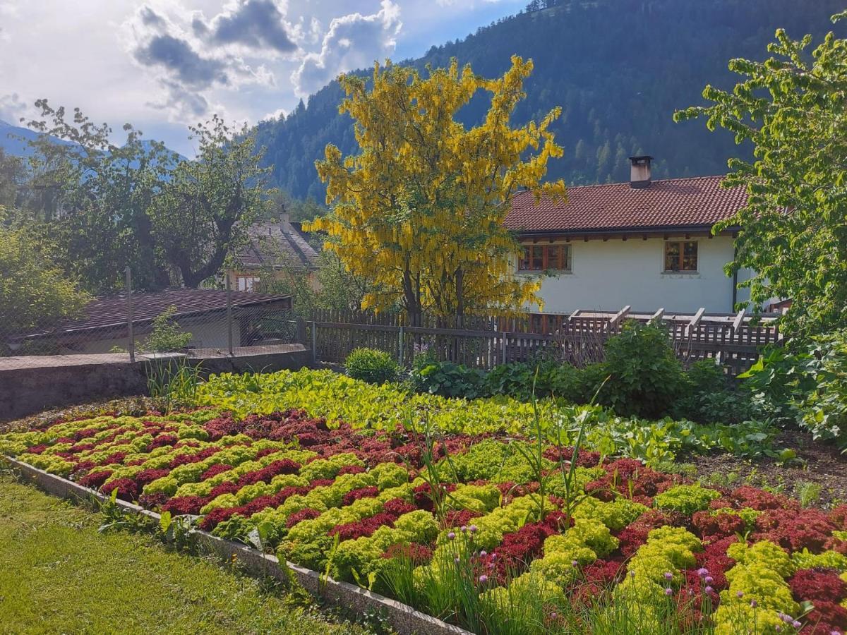 Hotel Crusch Alba Sta Maria Santa Maria Val Müstair Esterno foto